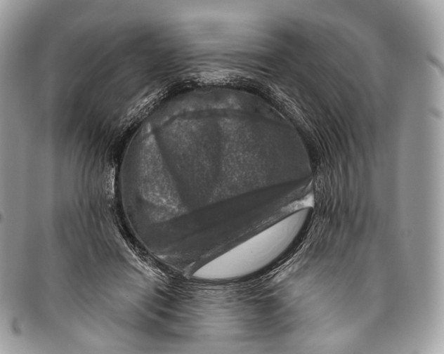 X0000096470454200802141702