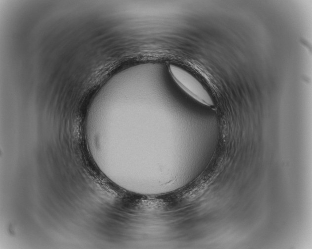 X0000096470455200802141702