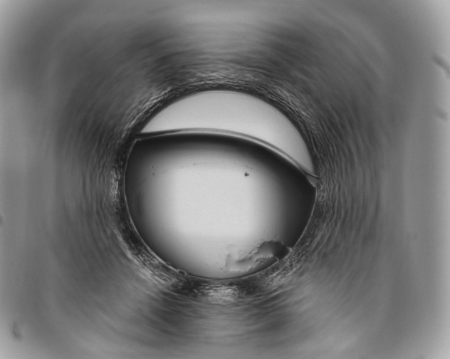 X0000096470456200802141702