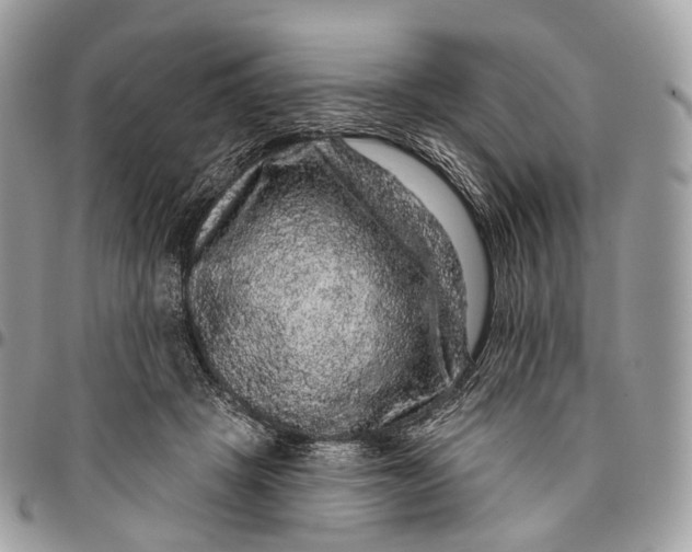 X0000096470457200802141702