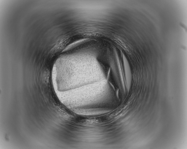 X0000096470458200802141702