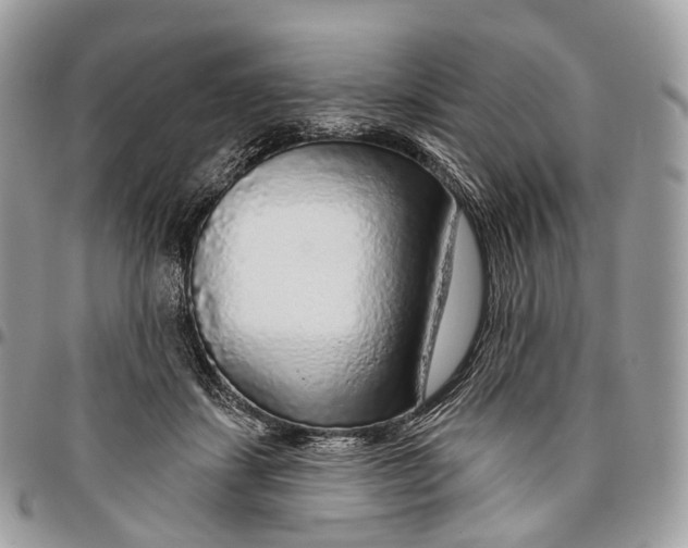 X0000096470459200802141702