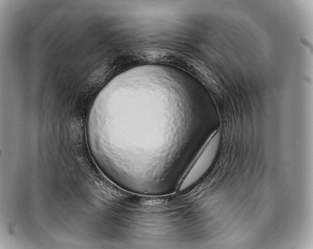 X0000096470461200802141702