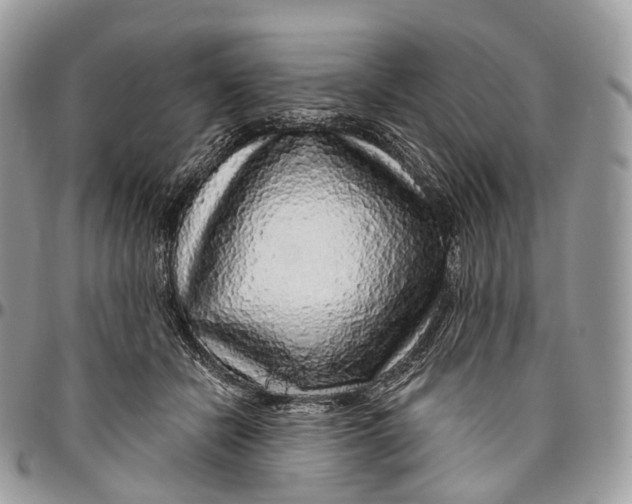 X0000096470462200802141702