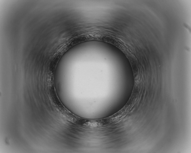 X0000096470464200802141702