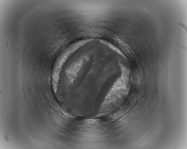 X0000096470465200802141702