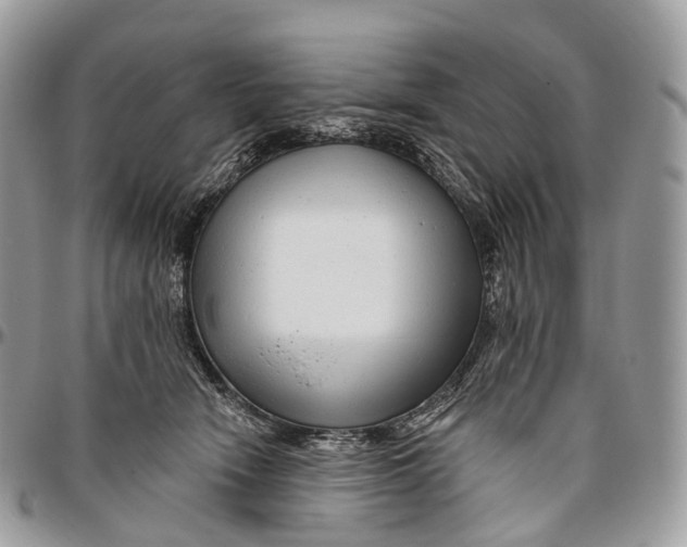 X0000096470466200802141702