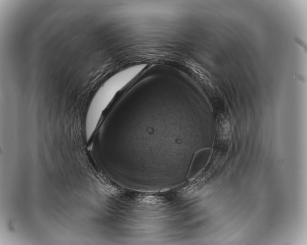 X0000096470467200802141702