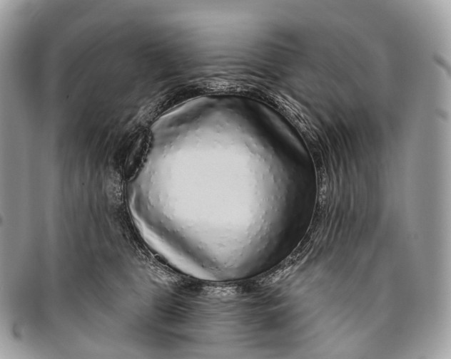 X0000096470469200802141702