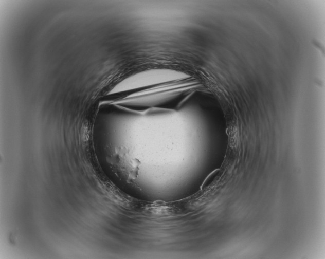 X0000096470472200802141702