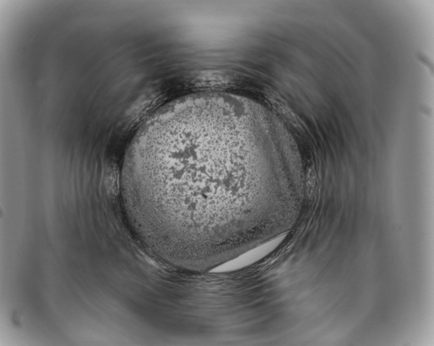 X0000096470474200802141702