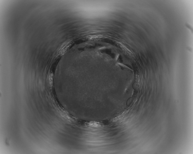 X0000096470475200802141702