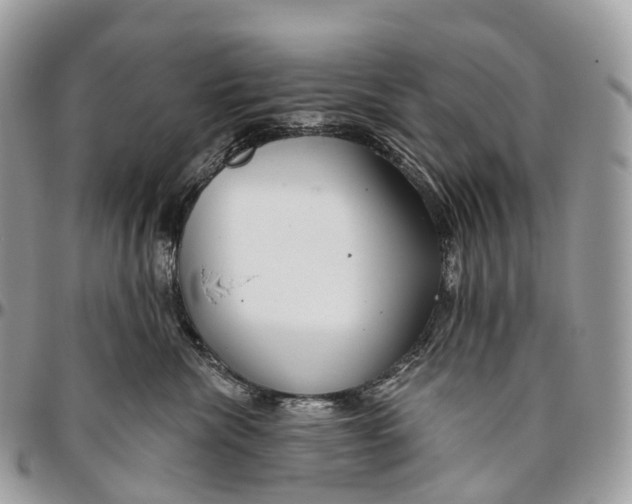 X0000096470476200802141702