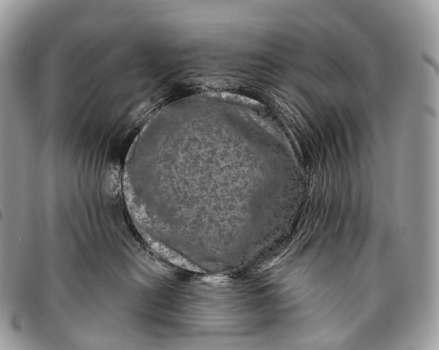 X0000096470478200802141702