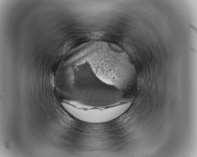 X0000096470479200802141702