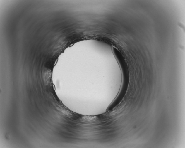 X0000096470480200802141702