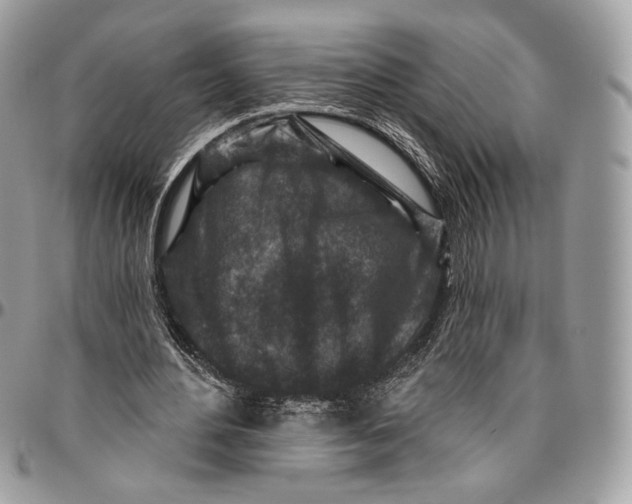 X0000096470484200802141701