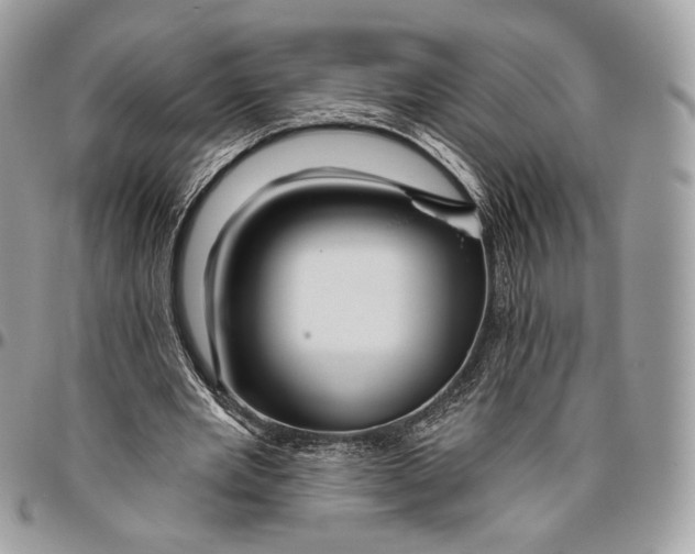 X0000096470485200802141701