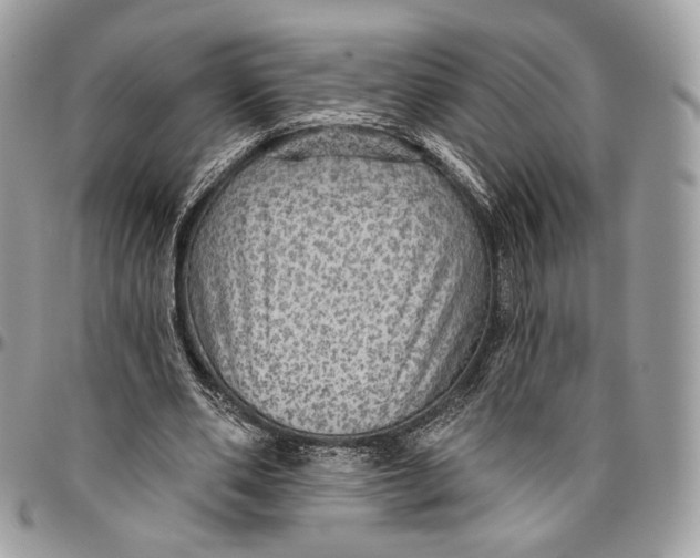 X0000096470486200802141701