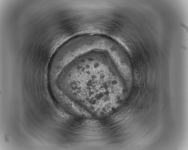 X0000096470487200802141701