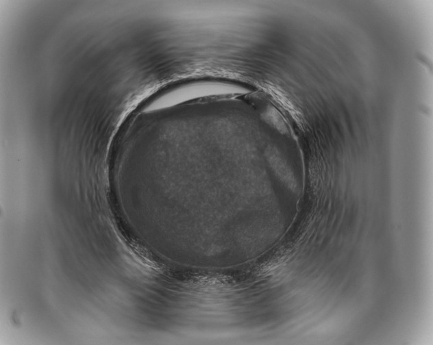 X0000096470488200802141701