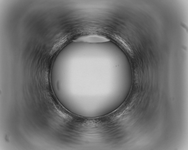 X0000096470489200802141701