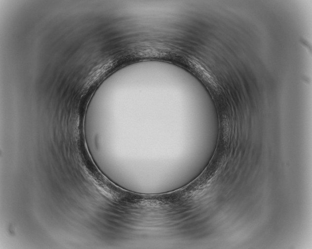 X0000096470490200802141701