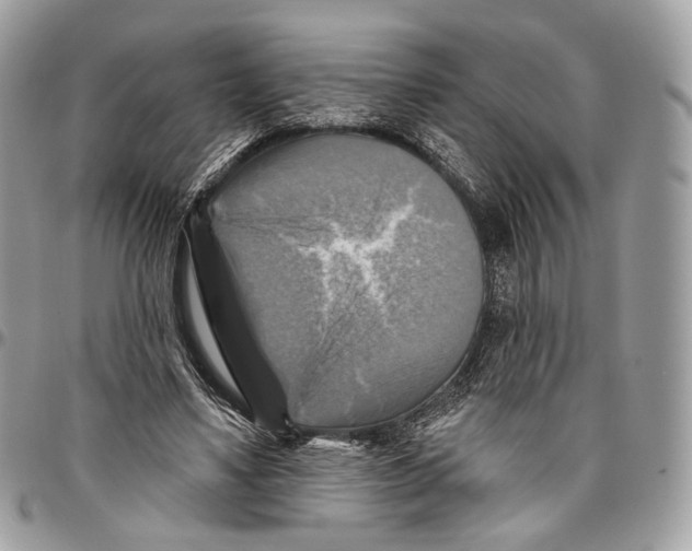 X0000096470491200802141701