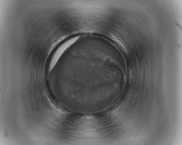 X0000096470492200802141701