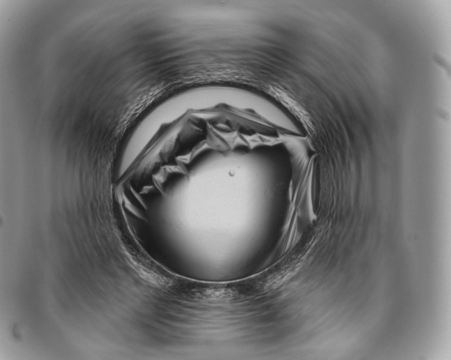 X0000096470493200802141701