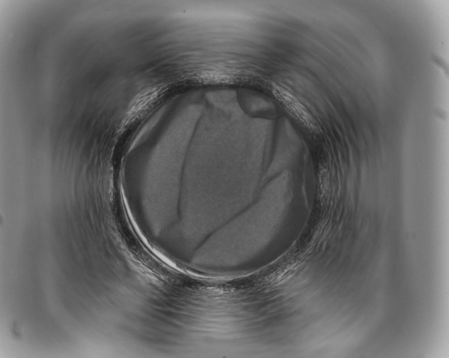 X0000096470494200802141701