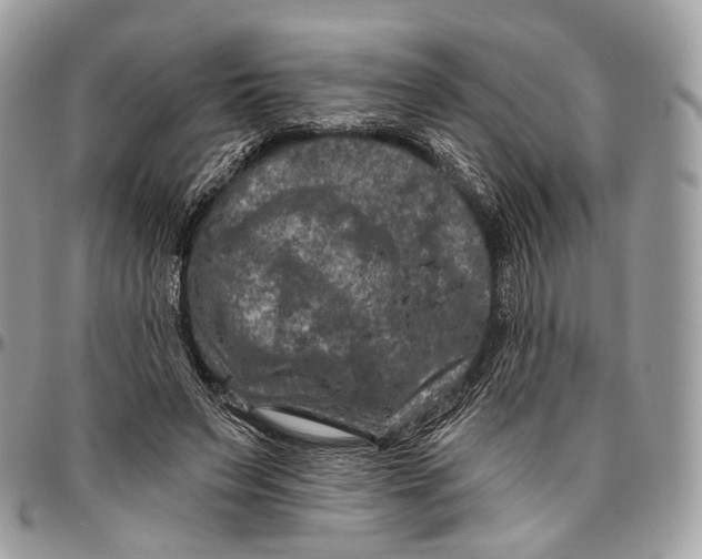 X0000096470495200802141701