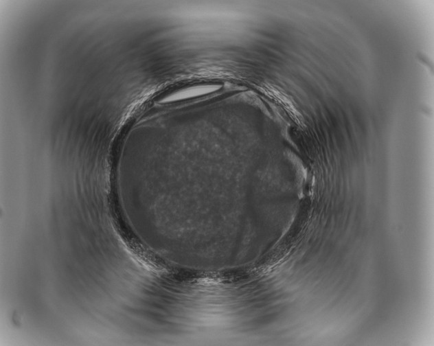 X0000096470496200802141701