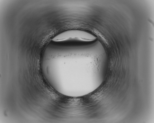 X0000096470497200802141701