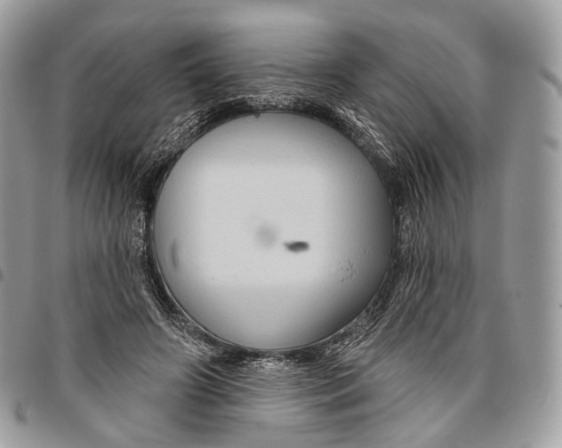 X0000096470498200802141701