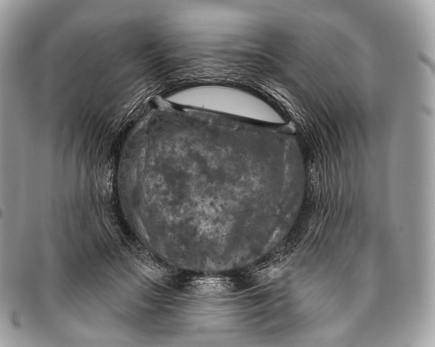 X0000096470499200802141701