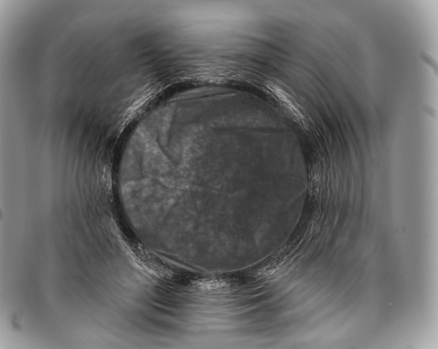 X0000096470500200802141701