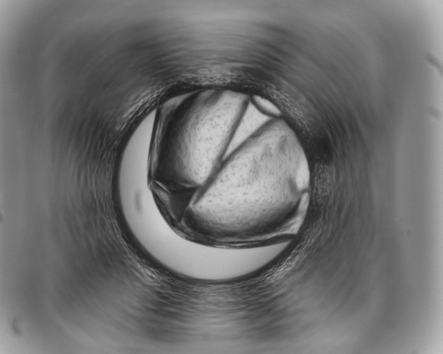 X0000096470501200802141701