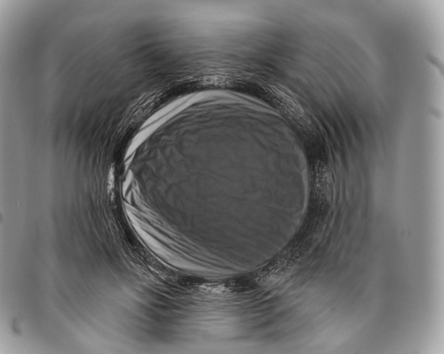 X0000096470502200802141701