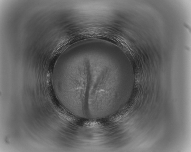 X0000096470503200802141701