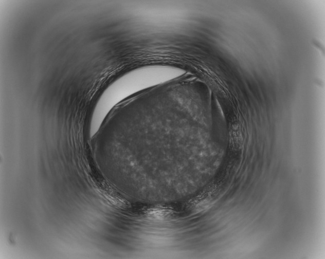 X0000096470504200802141701