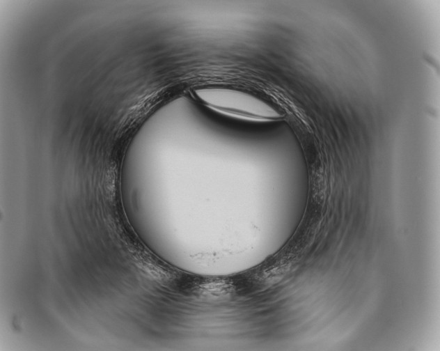 X0000096470505200802141701