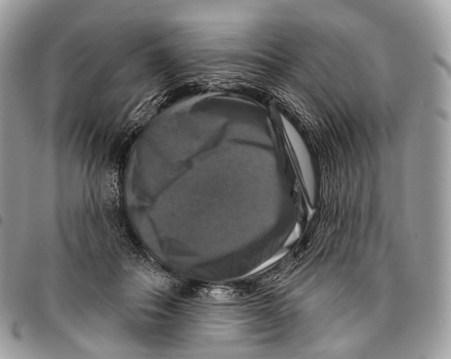 X0000096470506200802141701