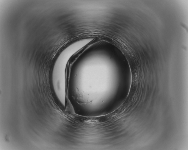 X0000096470508200802141701