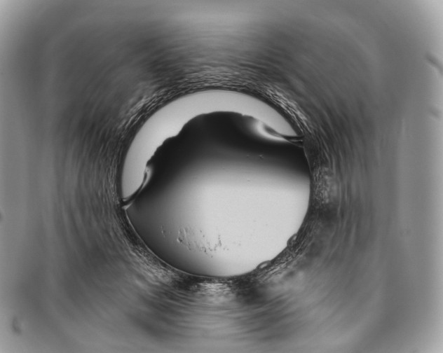 X0000096470509200802141701