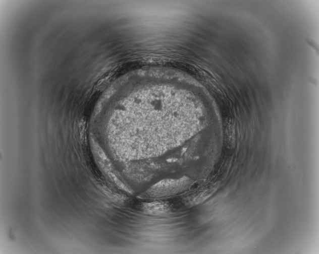 X0000096470511200802141701