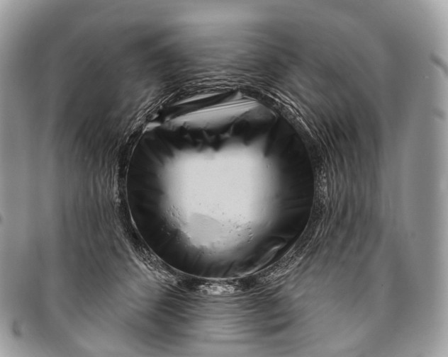 X0000096470512200802141701