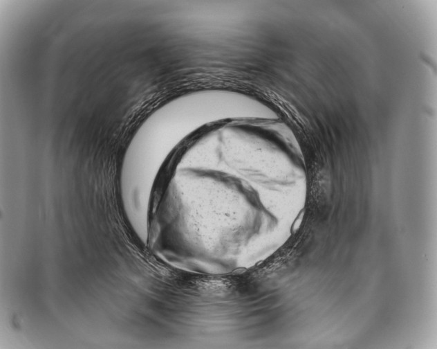 X0000096470513200802141701