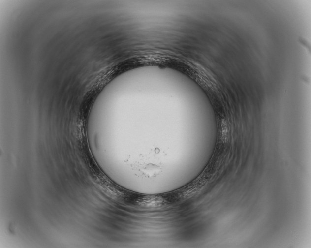 X0000096470514200802141701