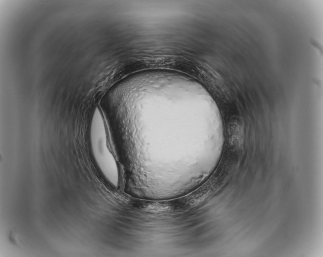 X0000096470515200802141701